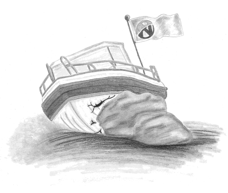 NAMMERT Bootskaskoversicherung: Ein Sportboot fährt auf einen Felsen