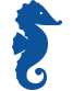 Bootsteilkaskoversicherung