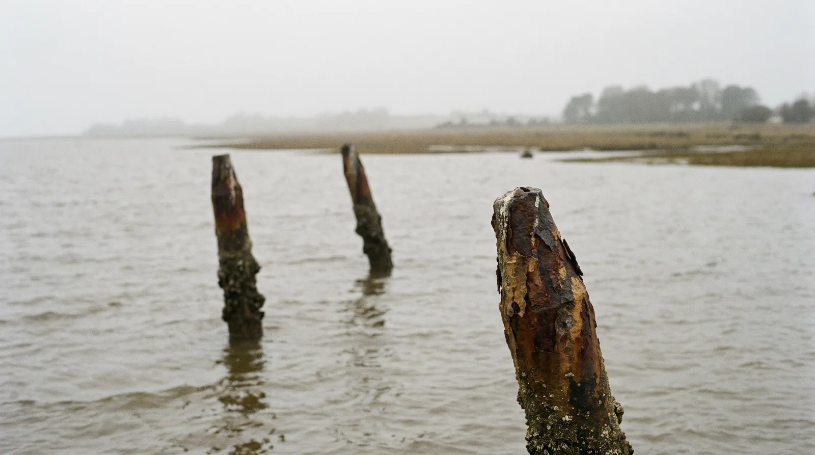 Korrodierte Stahlreste eines versunkenen Schiffes ragen aus flachem, grauem Mündungswasser, dahinter im Dunst eine flache Küstenlinie.
