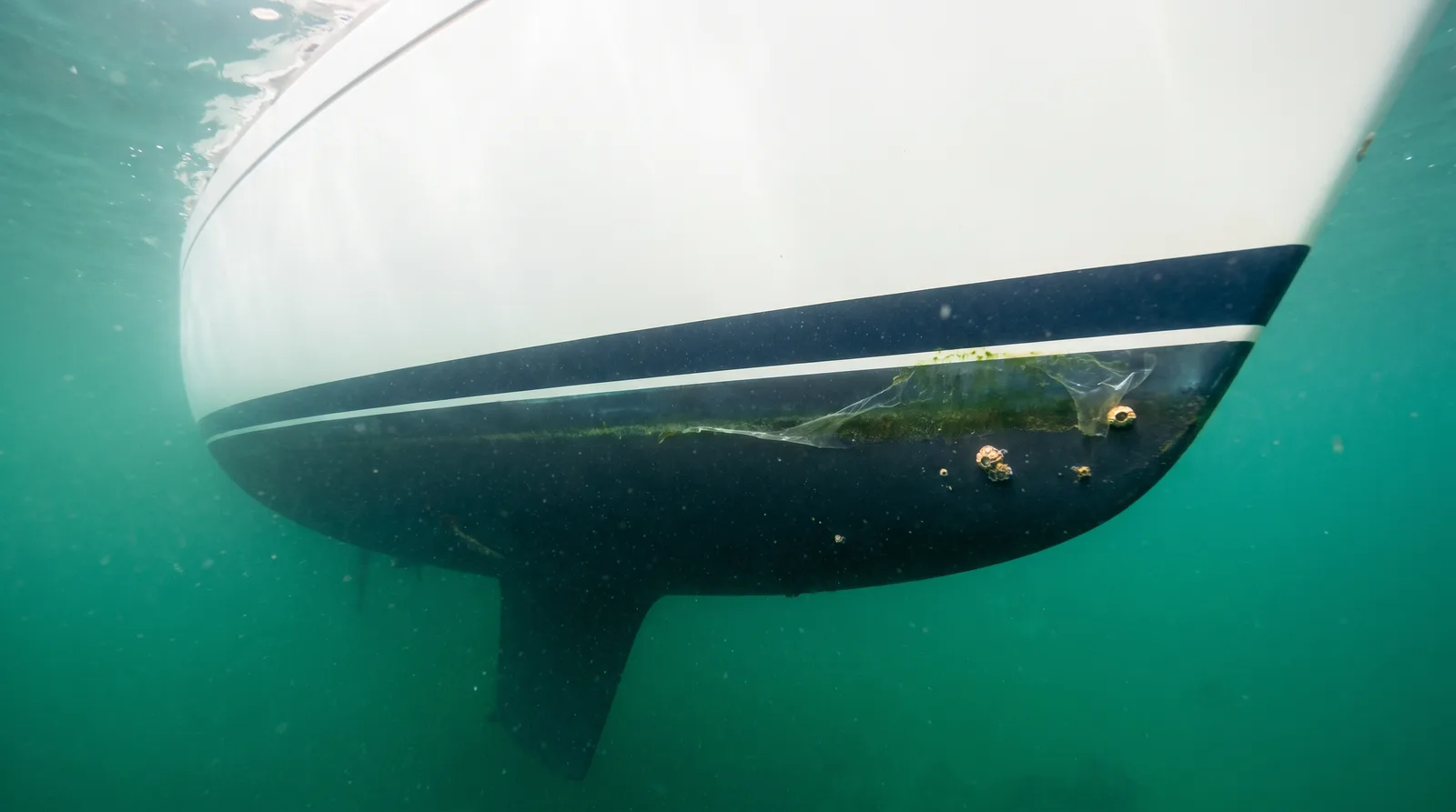 Blick unter Wasser auf den Rumpf einer gepflegten Segelyacht mit leichtem Bewuchs an der Wasserlinie