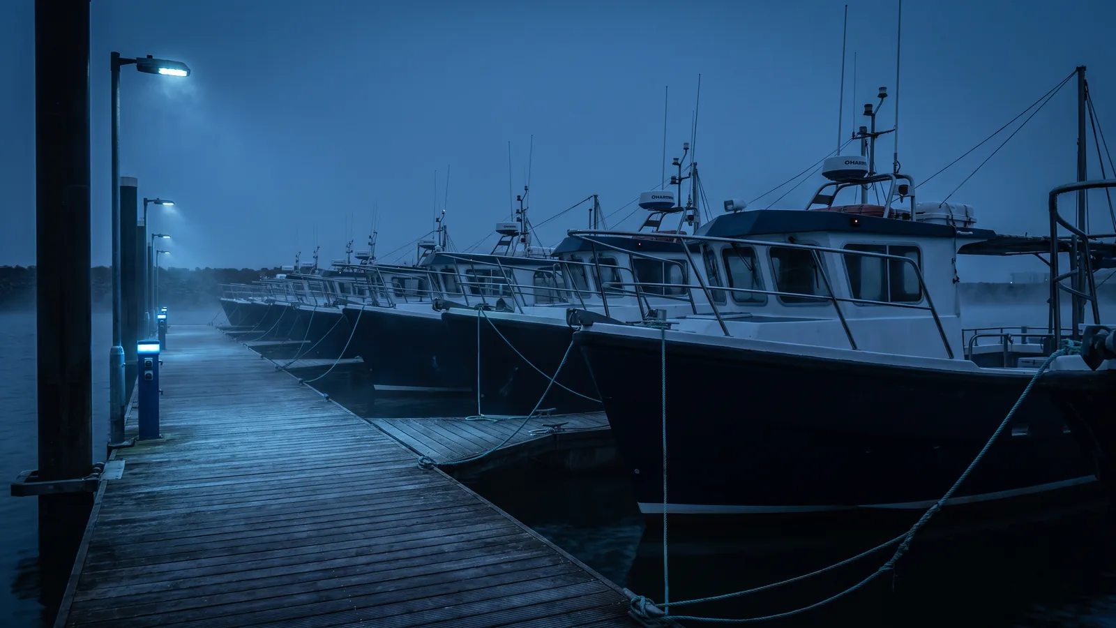 A row of identical charter yachts lying alongside a pontoon at first light