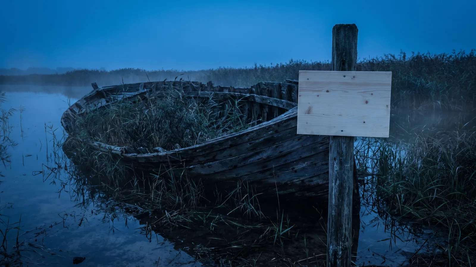 An old wreck overgrown in the reeds, with a fresh notice fixed to a post beside it